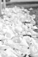 DSC_7969 2